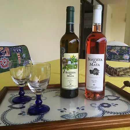 Pinhal D'aberta Esmoriz