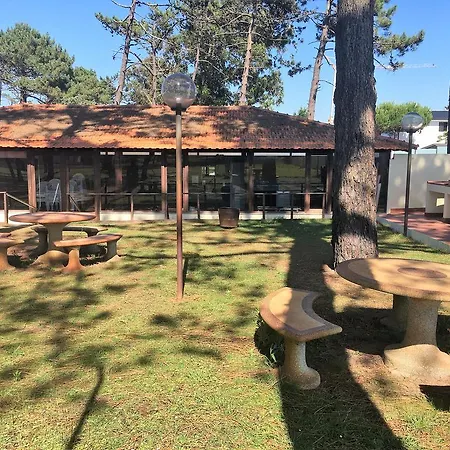 Pinhal D'aberta