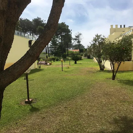 Pinhal D'aberta * Esmoriz